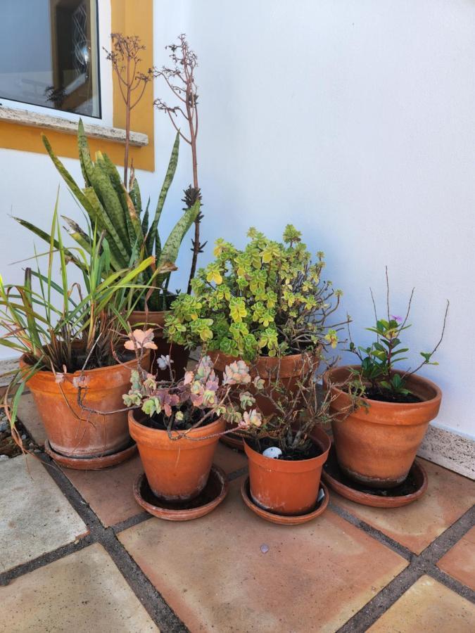 Quinta Das Amendoas Карвоейро Екстериор снимка