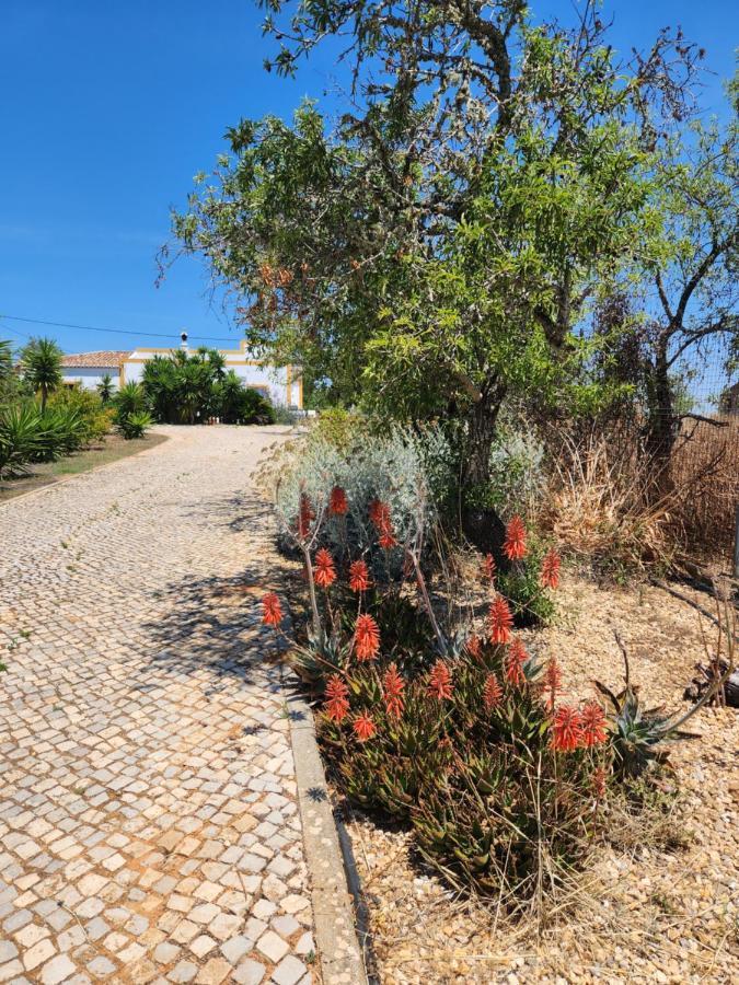 Quinta Das Amendoas Карвоейро Екстериор снимка